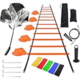 Litviz Agility Ladder Speed Training Equipment,Includes 12 Rung Agility Ladder,10 Disc Cones, Jump Rope, Resistance Bands, Ru