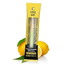 Cigtrus Quit Smoking Smokeless Inhaler
