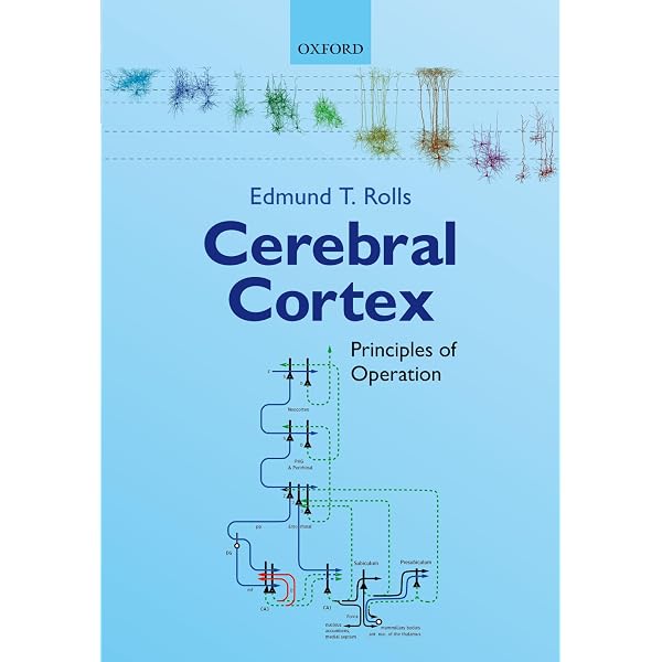 Cerebral Cortex: Principles of Operation: 9780198820345: Medicine