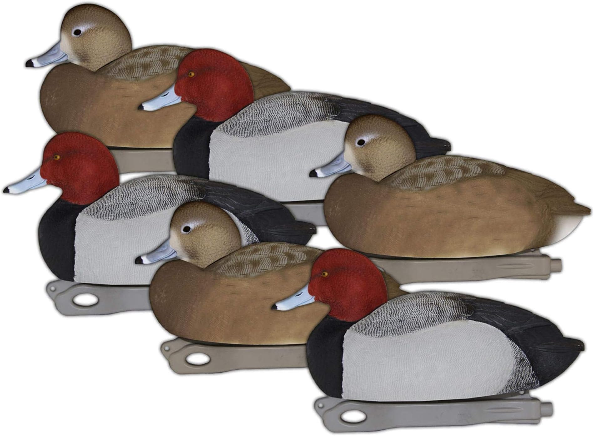 Hardcore Waterfowl Rugged Series Redhead Decoys - 4 Drakes & 2 Hens