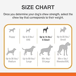 Nylabone Power Chew Flavored Durable Chew Toy for