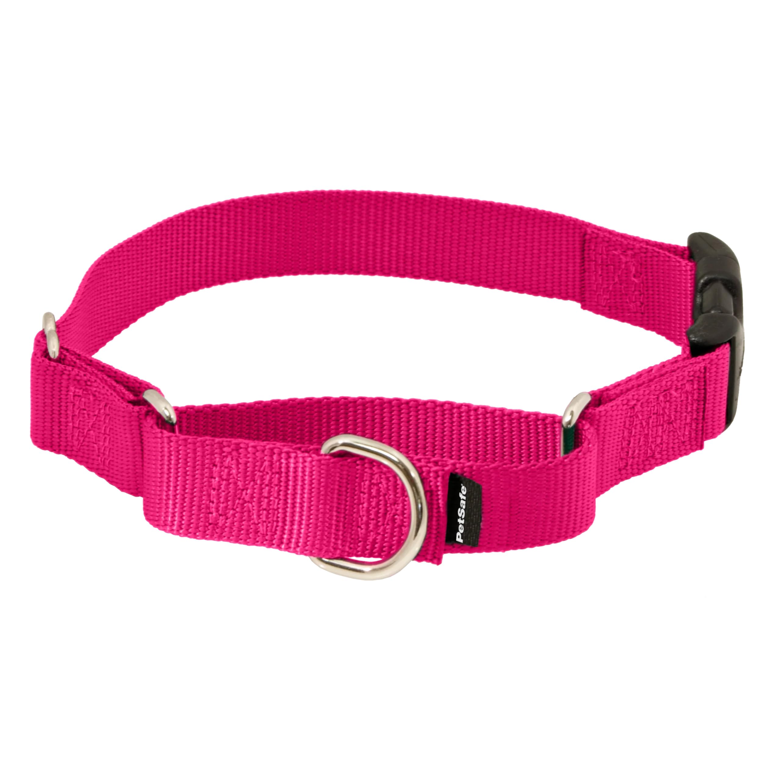 Photo 1 of PetSafe Martingale Collar with Quick-Snap Buckle - Adjustable No-Slip Quick Release Dog Collar - Everyday Wear No-Pull Training Aid - 1" Wide - Medium - Raspberry