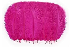Hollosport 30 PCS Hot Pink Ostrich Feathers Bulk 10-12 Inch, Soft Natural Plumes for Centerpieces of Great Gatsby & Wedding Party, Home Vases Christmas Tree Decorations (Fuchsia 10-12 Inch)