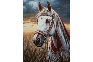DIY American Native Indian Horse 11CT Pre-Printed Cross Stitch Kit for Adults & Beginners, Easy Needlepoint Pattern for DIY H