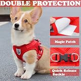 Anlitent Soft Mesh No Pull Cat Harness and Lead Set Red X-Small view 3