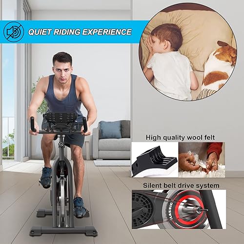 GOFLYSHINE Exercise Bikes Stationary,Exercise Bike for Home Indoor