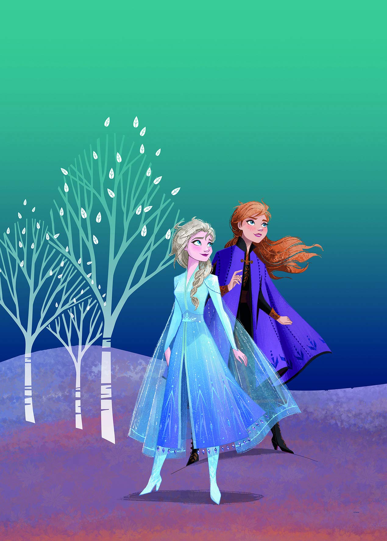 Komar Disney Wall Picture Frozen Sisters Nursery Baby Room Decoration Art Print Without Frame Available in 3 Sizes, Colourful, WB071-50x70