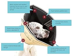 All Four Paws Comfy Cone Pet Cone for