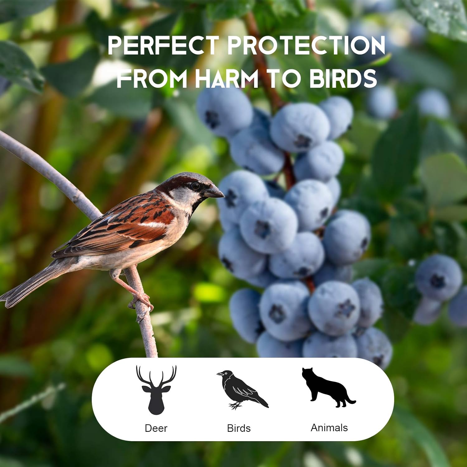 YHmall Bird Netting, 13 x 33 Feet Reusable Heavy Duty Fruit Tree Netting, Garden Netting Protect Fruit Trees Blueberries Plants and Vegetables from Birds and Animals (Green, 50 Pcs Cable Ties) : Garden & Outdoor