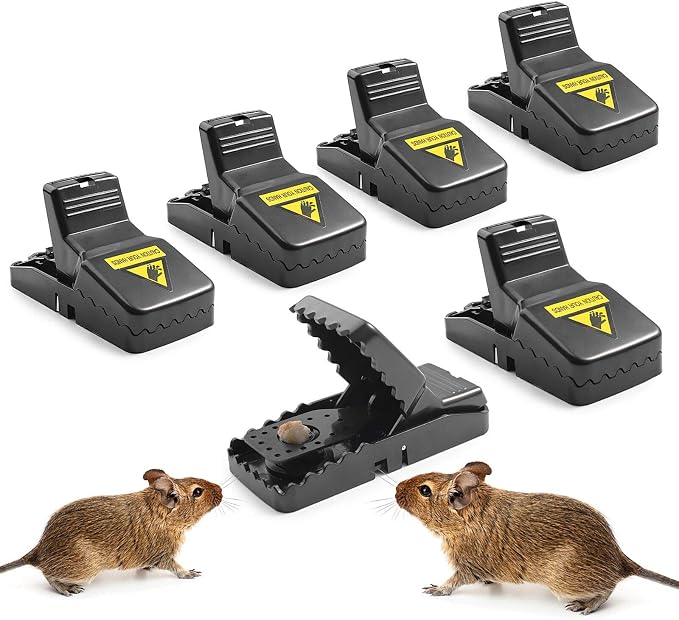Cage Rat Apetteà Souris Rats Plastique Réutilisable, 10PCS Piege Souris Maison Cage Trappe Chat