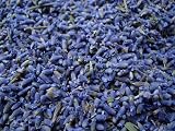 TooGet Culinary Dried Lavender Buds 4 OZ Highland Grow Flowers Ultra Blue view 5
