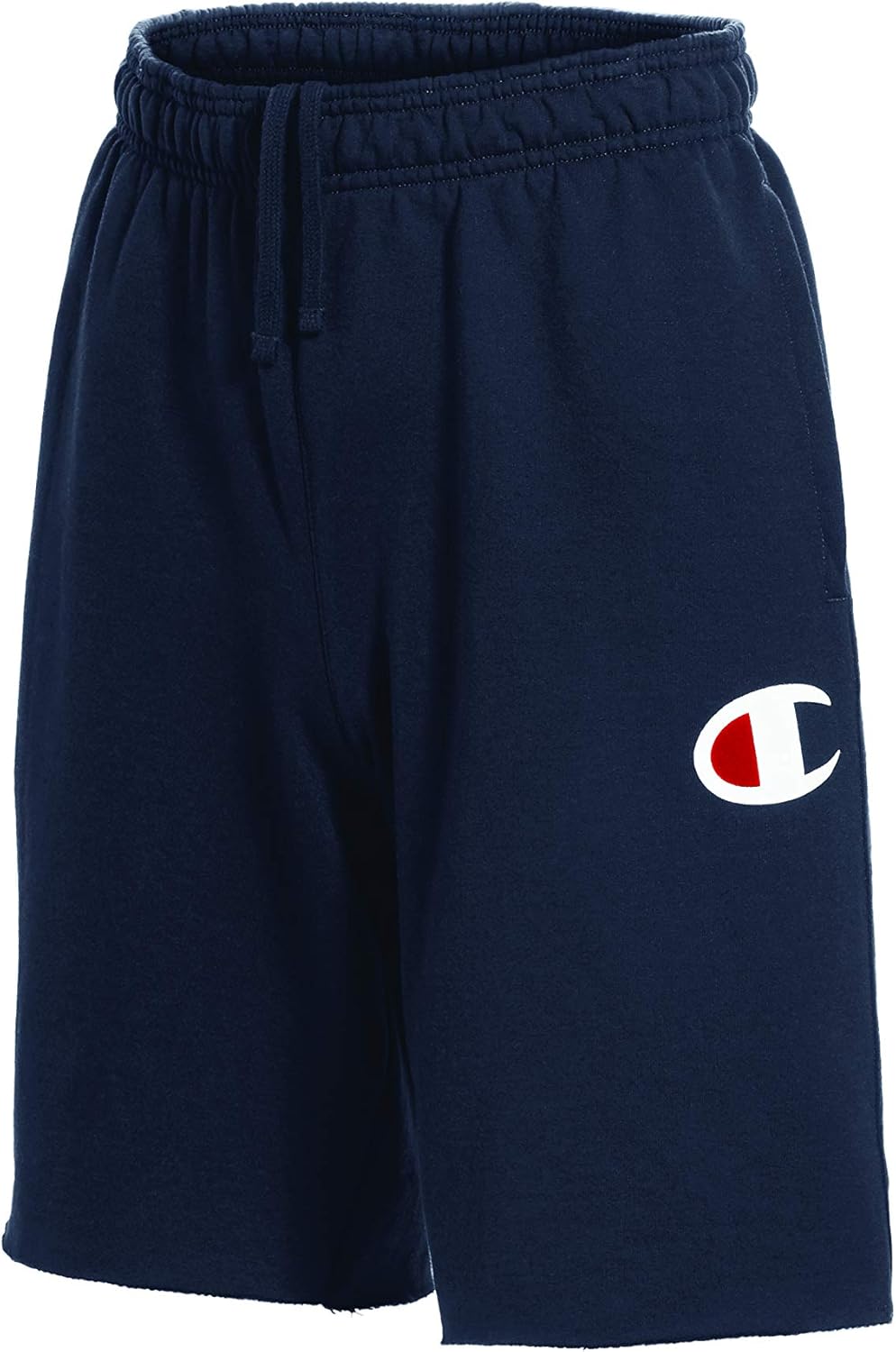 Champion Men's Graphic Powerblend Fleece Short: Clothing