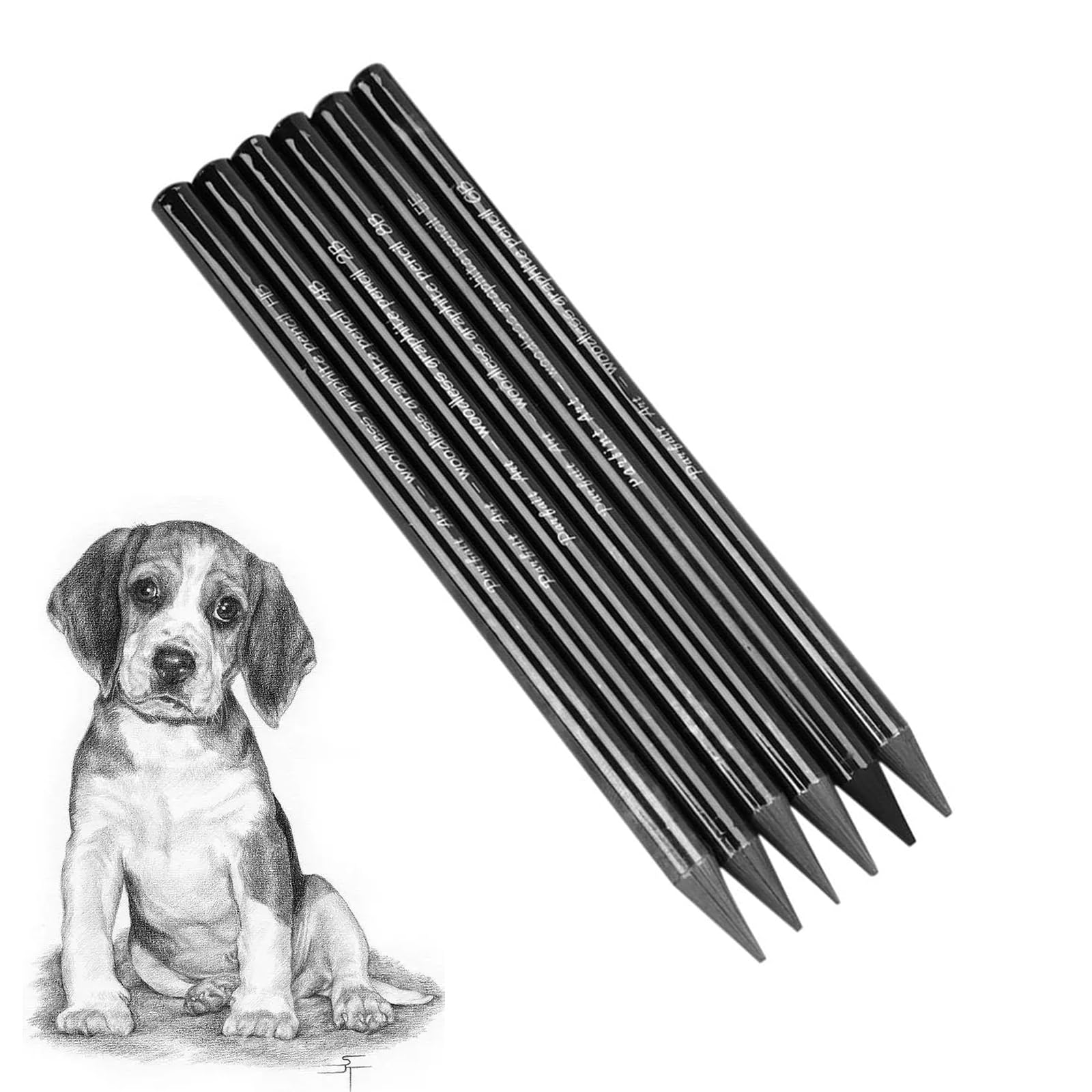 Ccomage 6 Pcs Woodless Black Graphite Pencils Set HB 2B 4B 6B 8B EE Professional Sketching Pencils Art Supplies Sketch Drawing Pencil for Drawing, Writing, Shading, Coloring Gift for Artist Beginner