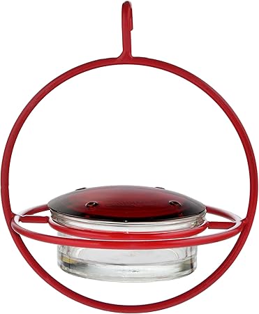 Amazon Com Best Small Glass Hummingbird Feeder With Red Perch