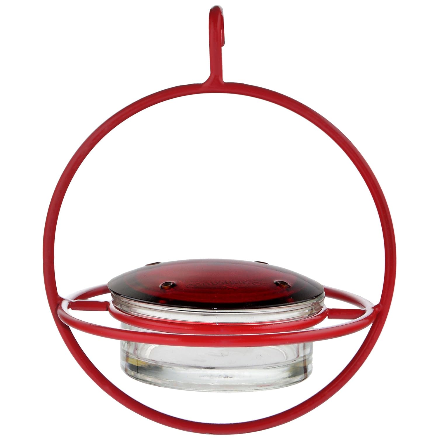 Best Small Glass Hummingbird Feeder With Red Perch Bee Wasp