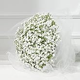 Dolicer 18 Pcs Babys Breath Artificial Flowers, White Long Stem Baby Breath Flowers Artificial Bulk, Real Touch Fake Babys Breath Gypsophila for Wedding Bridal Bouquet Party Arrangements Home Decor