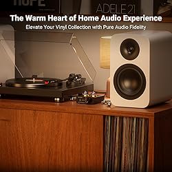Fosi Audio Box X2 Phono Preamp, Mini Stereo Audio