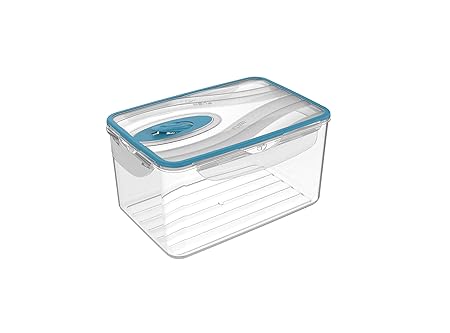 BIESSE Tupper hermético 4 Cierres de 2,6 litros con válvula ...