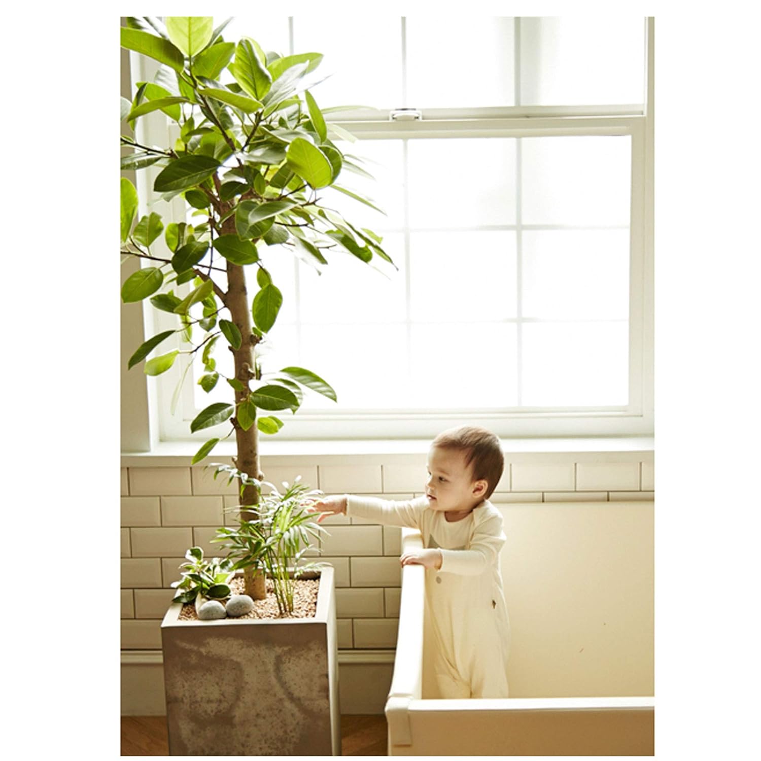 bumper floor mat baby