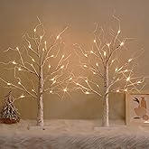 White Birch Tree with LED Lights, Lighted Birch Tree for Tabletop, USB/Battery Operated 24 LED Warm White Tree, 2FT Mini Christmas Tree Decor for Indoor Home Christmas Decorations (2 Pack, Timer)
