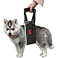 Leather Dog Lift Harness for Small Dogs,Doggie Walking Sling,Puppy Belly Support Strap,Pet Assist Harness for Senior,Injured,Disabled Dogs After ACL Surgery S