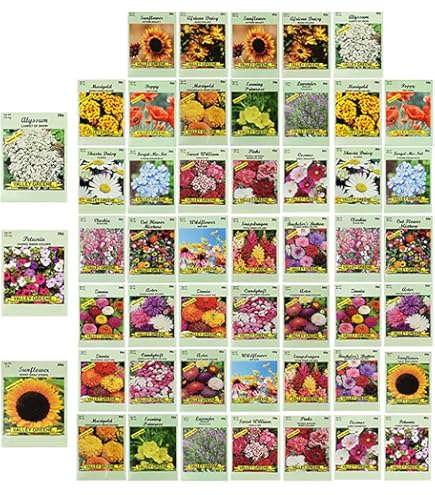 Amazon.com : Set of 100 Flower Seed Packets - Flower Seeds in Bulk - 15 or  More Varieties Available - Great for Creating Colorful Gardens (100) :  Patio, Lawn & Garden