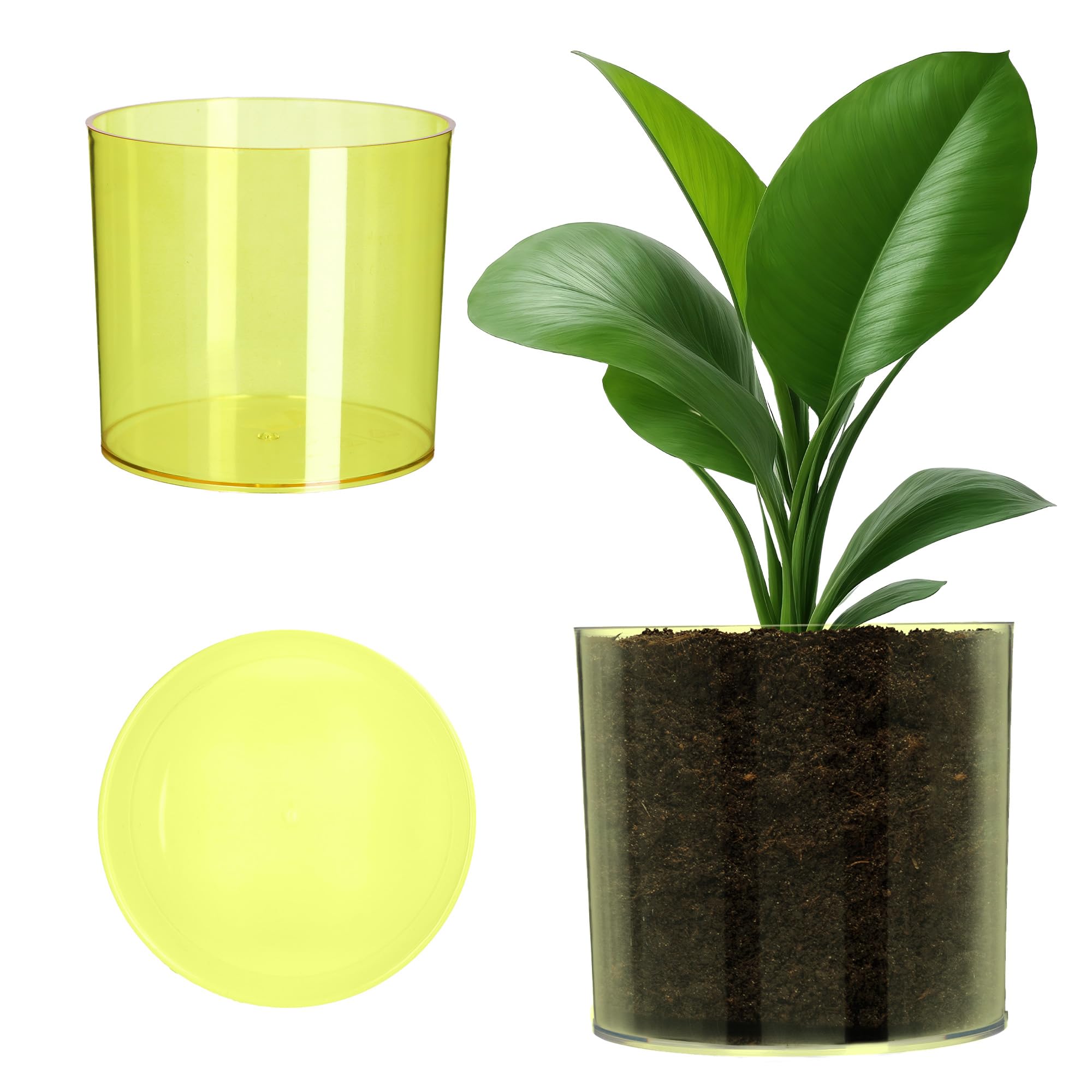 KADAX Plastic Flower Pot, Cylindrical Shape, Herb Pot, Yellow, Diameter 5