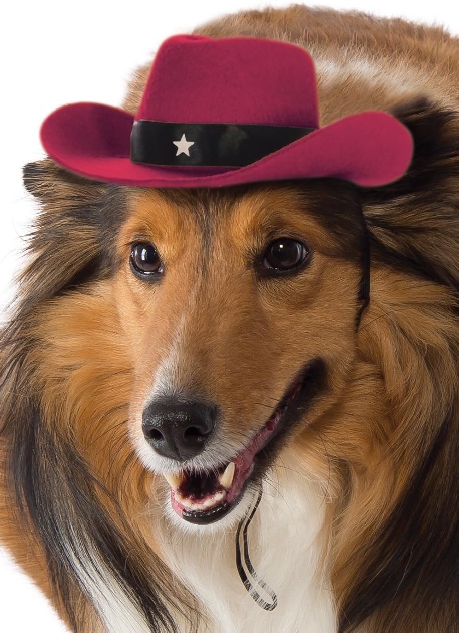 cowboy hat dog