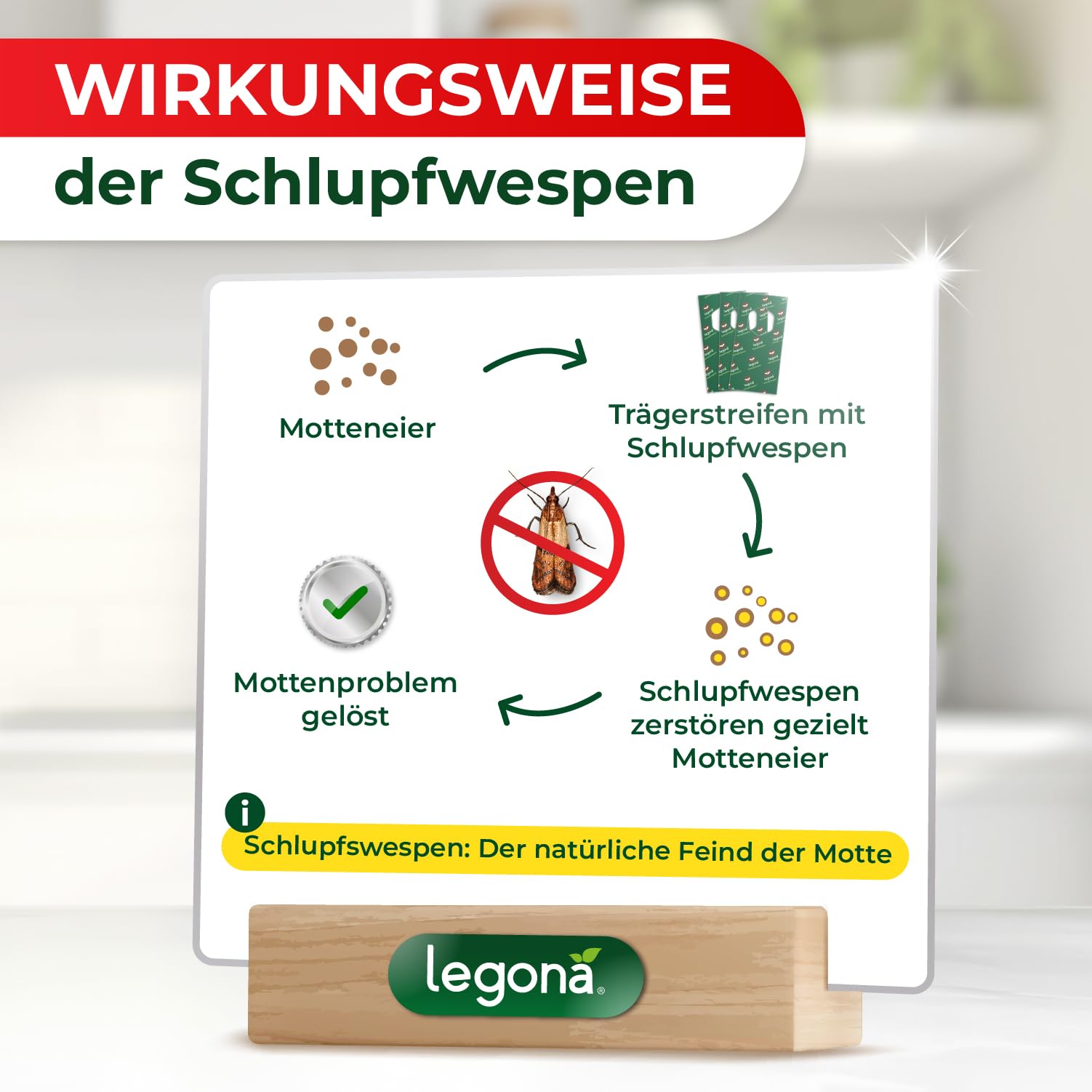 Legona Schlupfwespen gegen Lebensmittelmotten, 3 Lieferungen mit je 3 Trägern, 9 Wochen Vollbehandlung 3