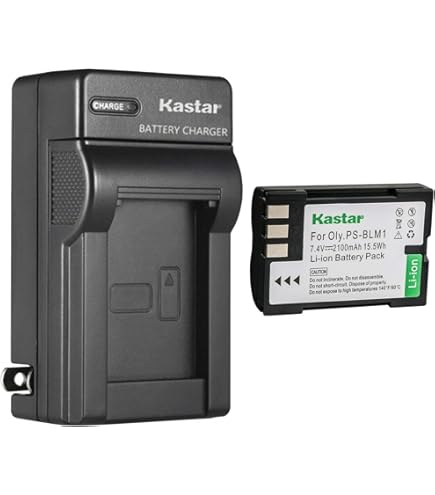 Amazon.com : Kastar Lithium-Ion Battery and Charger with Car