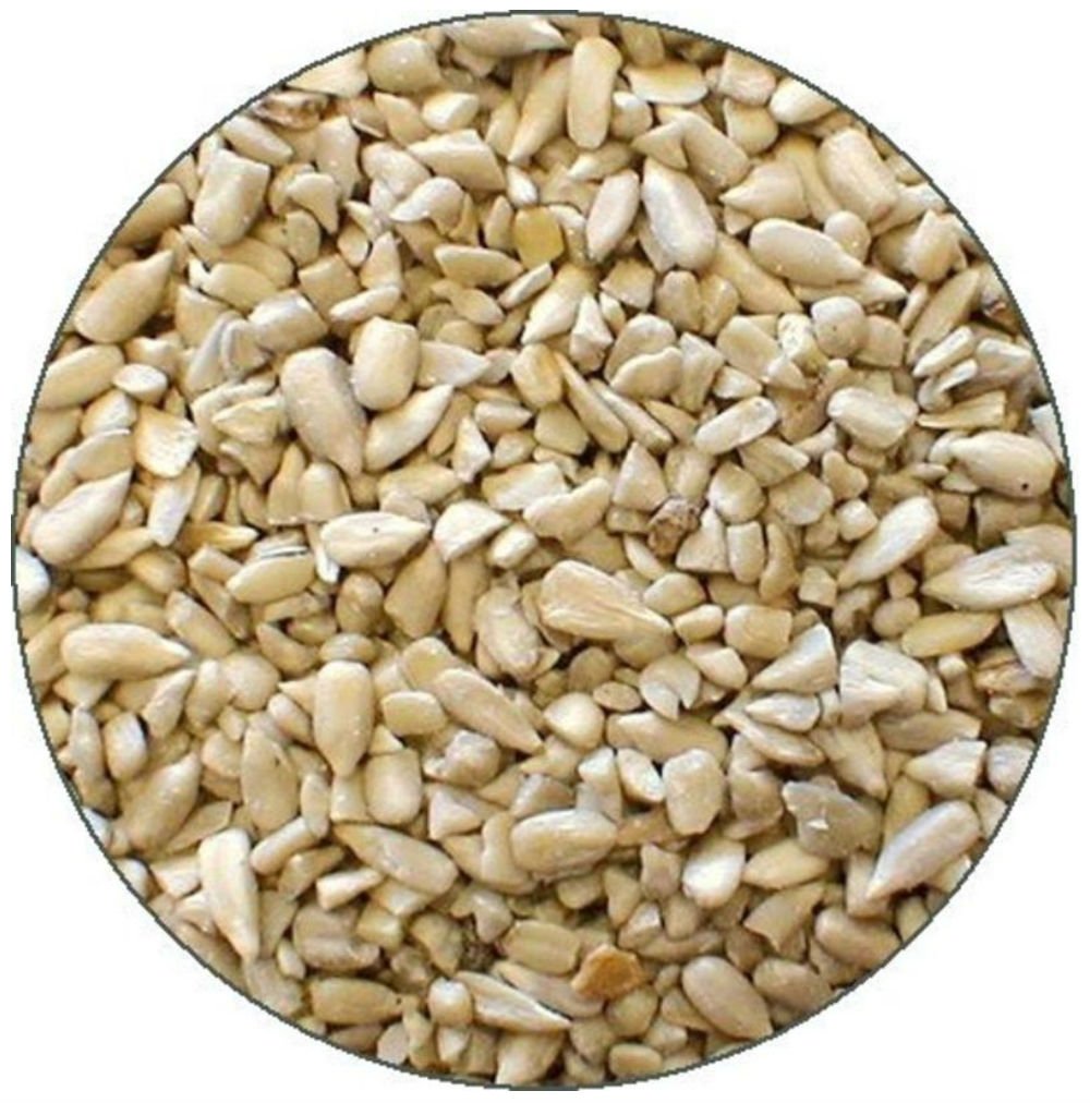 Shafer Seed 281720 Sunflower Kernels and Chips, Wild Bird Seed For All