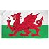 thumbnail image 2 of Wales Flag 3x5ft – Welsh National Flag, 100% Polyester, Fray Resistant 2 of 4