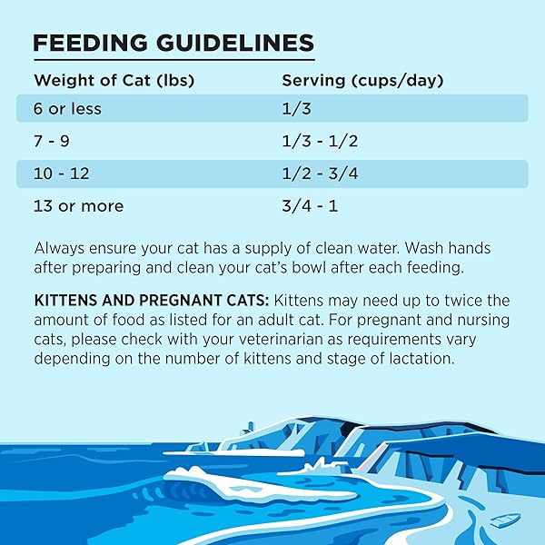 LIBERTY DRY FOOD SALMON RECIPE FOR CATS, 3LB