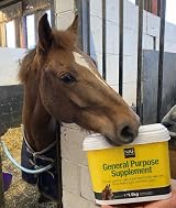 NAF General Purpose Supplement 1.5kg for Horses Daily Vitamin & Mineral Support view 3