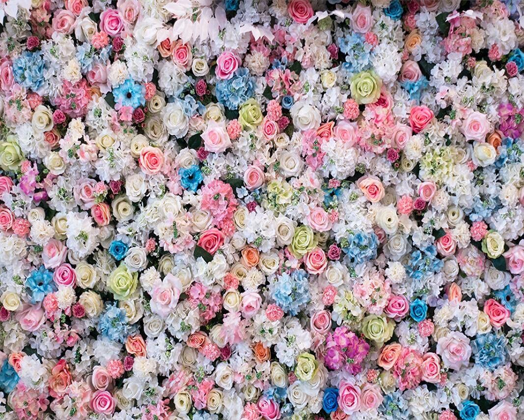 Haosphoto 7X5FT Floral Wall Backdrop for Photography Flower Backdrop Rose Background for Newborn Baby Shower Girls Birthday Valentine's Day Bridal Shower Wedding Anniversary Photo Studio Props HS352