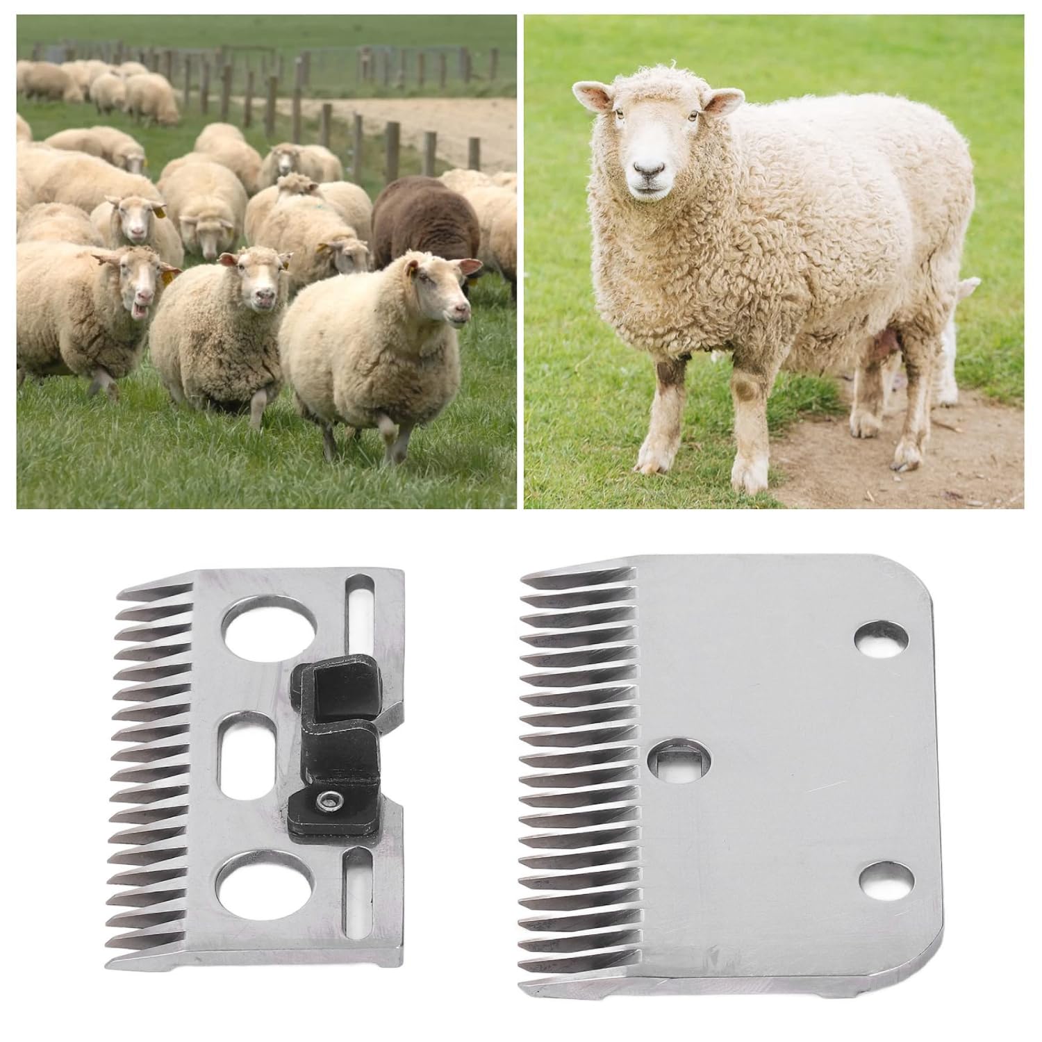 Fyearfly Sheep Shearing Blades,21 Teeth Sheep Clippers, Livestock Pet Shearing Clippers Replacement Blades Shears for Grooming Goats, Lambs, Llamas, Alpacas