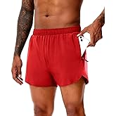 MIER Men's 3 Inch Inseam Running Shorts with Brief Liner Dry Fit Gym Athletic Workout Exercise Shorts with Zipper Pocket