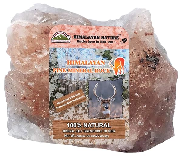 HIMALAYAN NATURE ANIMAL LICKING PINK SALT ROCK LICK DEER| 5 POUND