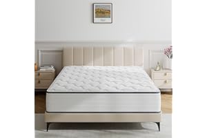 TXO Queen Mattress, 10 Inch Medium Firm Hybrid Mattress with Antistatic Breathable Euro Top Cover, Motion Isolation, Pressure Relief, Queen Size Mattress in a Box