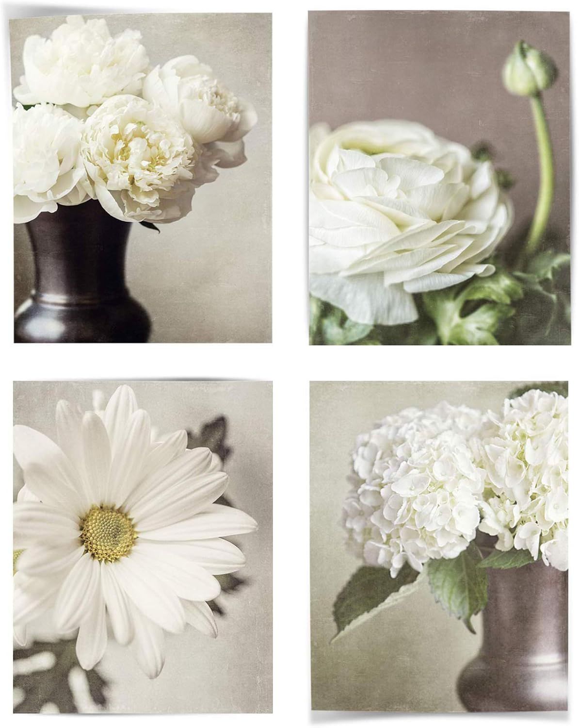 Photographs - Lisa Russo Fine Art - Botanical Flower Wall Decor Pictures - Shabby Chic Style - Set of 4 - Not Framed - Ivory, Tan, Beige (4 5x7 Prints Only)