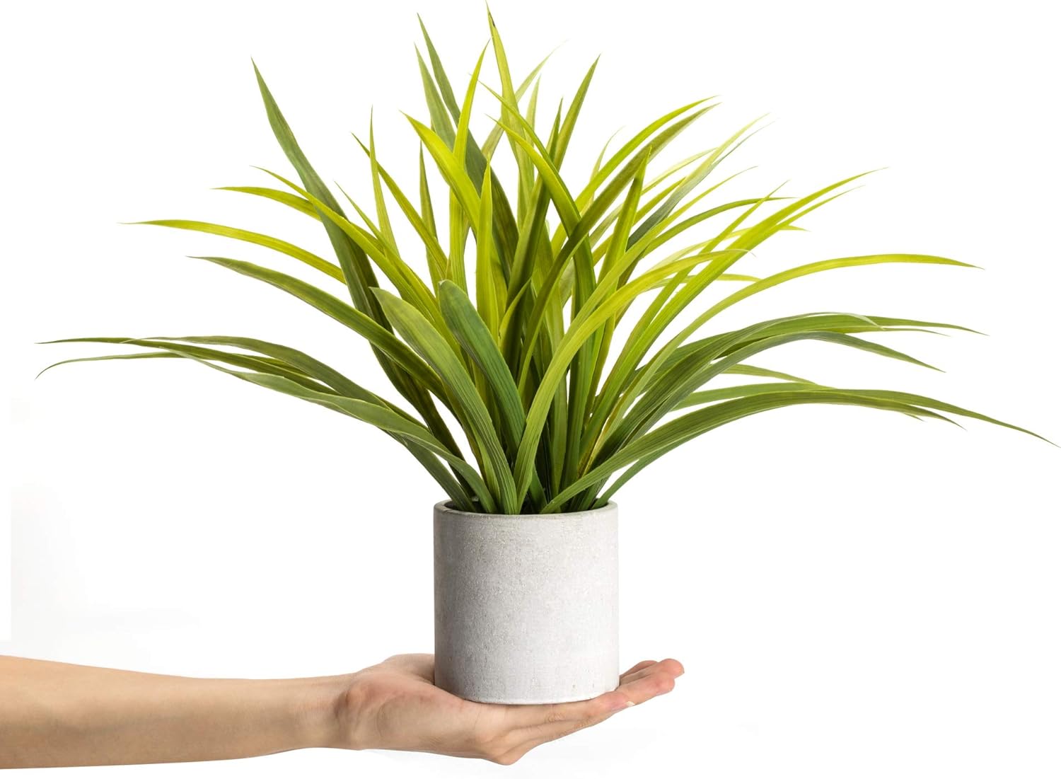 Velener Artificial Potted Long Leaf Plant with Metal Stand for Home Decor (Orchid Leaf) -