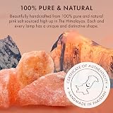 The Body Source Himalayan Salt Lamp 2-3kg with Dimmer Wooden Base view 6