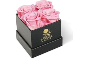 WILDLOVE Valentines Day Gifts - Preserved Pink Roses in a Box - Flower Gifts for Girlfriend Wife Mom, Valentines Day Gifts for Her, Anniversary Birthday Gifts for Women