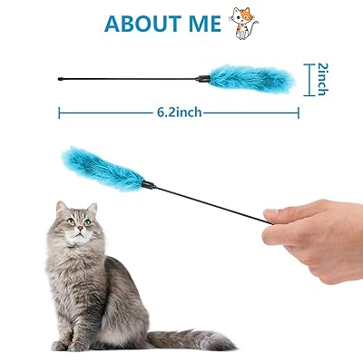 Buy Aigoanyou Realistic Flopping Fish Fish Toy For Cat Exercise Wiggle Fish Catnip Toys Motion Kitten Toy Interactive Cat Kitten Toys For Indoor Cats Pets Kitten Online In Indonesia B08slq13qd