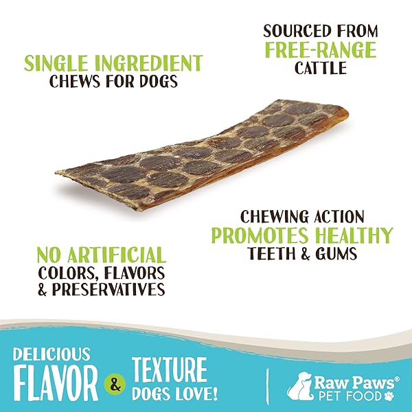 RAW PAWS BEEF ESOPHAGUS STRIPS FOR DOGS, 6-INCH (20-COUNT) – ALL NATURAL CHEWS – FREE-RANGE BEEF ESOPHAGUS STRIPS – DOG TAFFY CHEWS – SINGLE INGREDIENT CHEW FOR DOGS – COW JERKY TREATS
