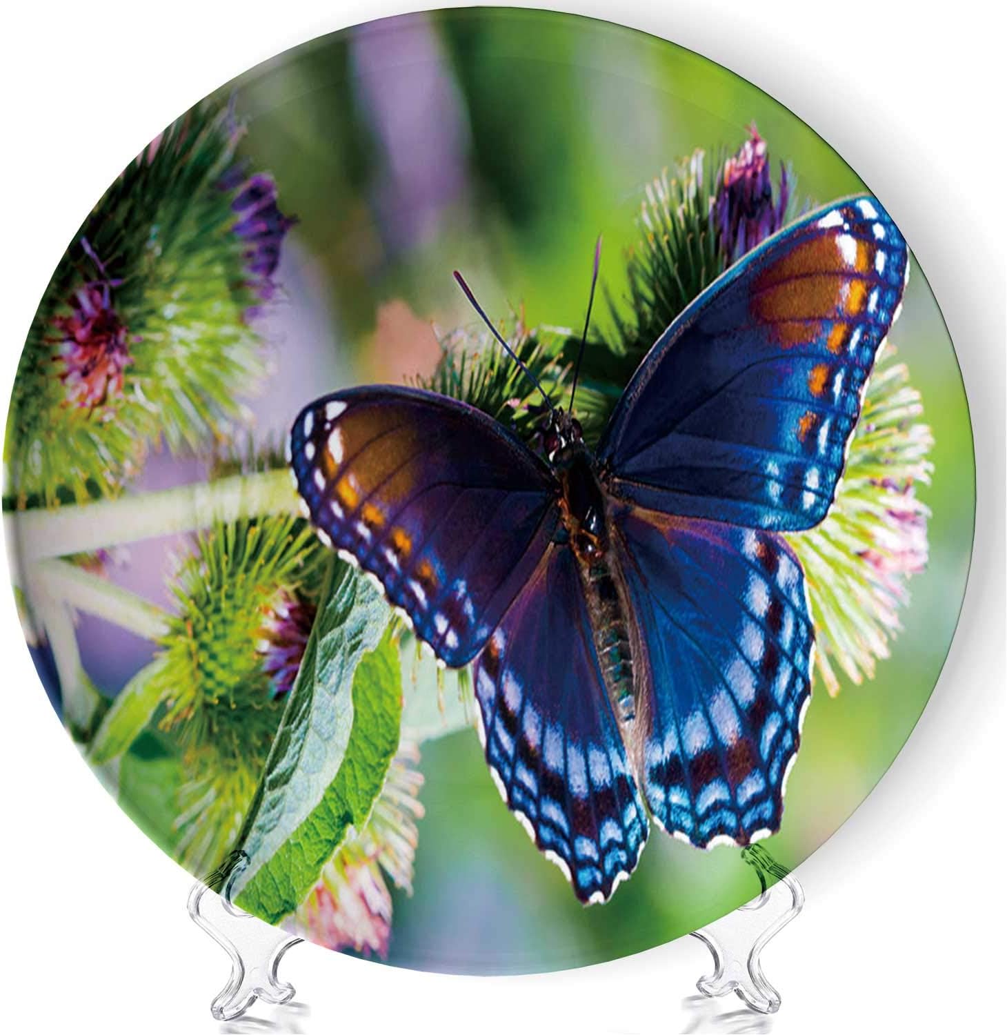 C COABALLA Red Spotted Admiral Art Fashion Ceramic Plates Display Plate Crafts,173802 for The Living Room,6''