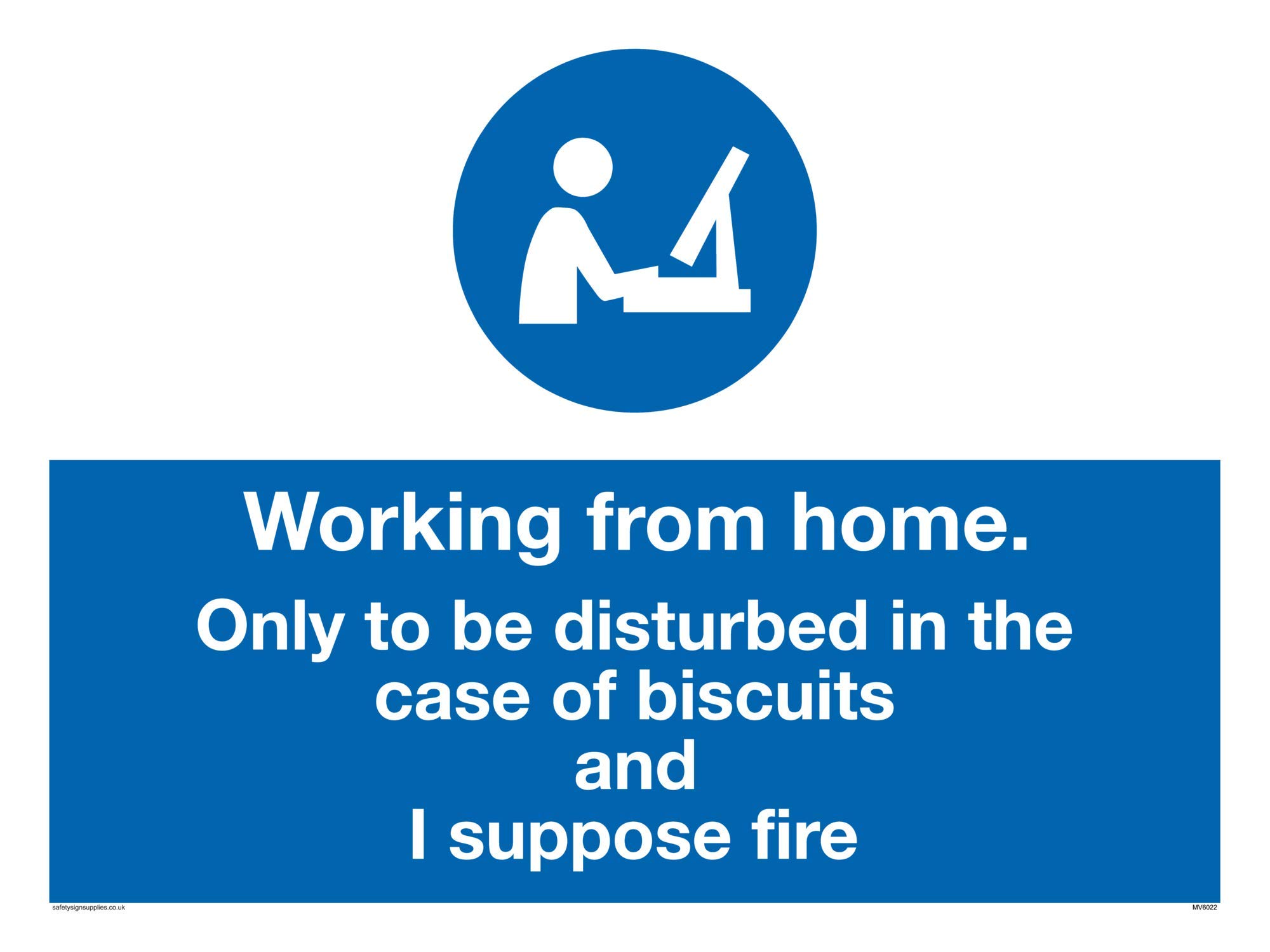 Working from home. Only to be disturbed in the case of biscuits and I suppose fire