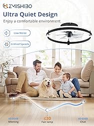 ZMISHIBO Ceiling Fans with Lights and