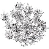 diyhub 30Pcs Silver Spider Web Charms,Alloy Pendants for DIY Necklace Bracelets Jewelry Making Craft
