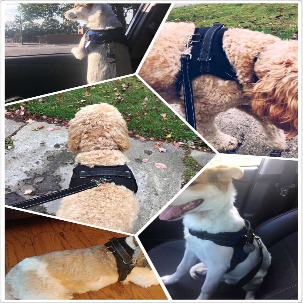 Santune Dog Harness Vest No Pull Adjustable Heavy Duty Oxford Reflective Safety Pet Harnesses with Handle for Small Medium Large Dogs Walking Traveling Training(Black,M)